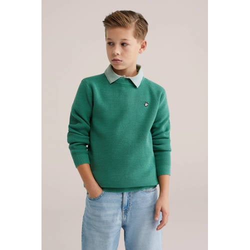 WE Fashion trui fijn gebreid groen Jongens Sweat Ronde hals Effen - maat 122/128 afbeelding