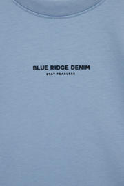 thumbnail: WE Fashion Blue Ridge T-shirt lichtblauw