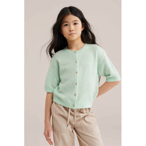 WE Fashion vest mintgroen fijn gebreid Meisjes Polyester V-hals Effen - maat 146/152 afbeelding