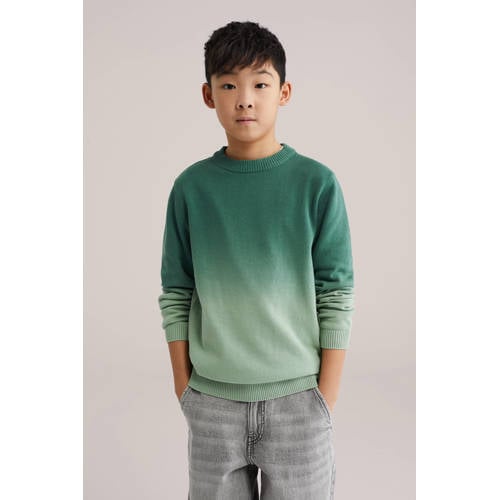 WE Fashion trui groen fijn gebreid Jongens Katoen Ronde hals Tie-dye - maat 146/152 afbeelding