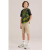 WE Fashion T-shirt donkergroen