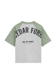 thumbnail: WE Fashion T-shirt met backprint lichtgroen