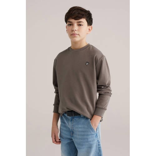 WE Fashion longsleeve grijsbruin Jongens Katoen Ronde hals Effen - maat 98/104 afbeelding