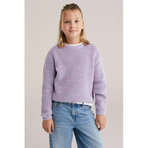 WE Fashion trui paars rib gebreid Meisjes Katoen Ronde hals Meerkleurig - maat 170/176 afbeelding