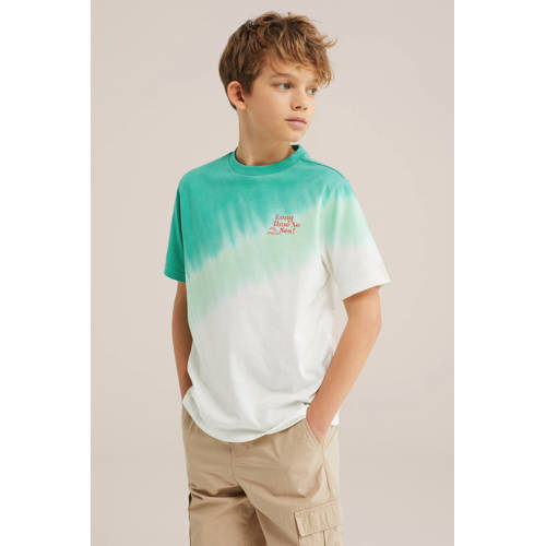 WE Fashion T-shirt mintgroen Jongens Katoen Ronde hals Meerkleurig - maat 170/176 afbeelding