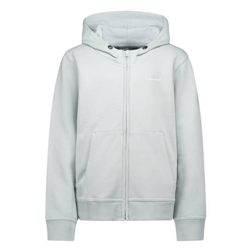 Airforce sweater Grijs Jongens Katoen Ronde hals Effen - maat 16 afbeelding