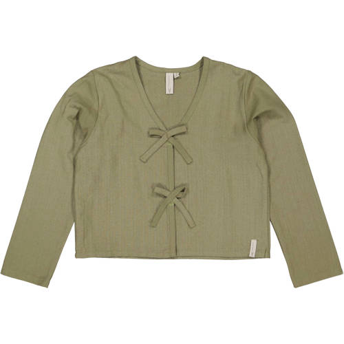 LEVV longsleeve groen Meisjes Katoen V-hals Effen - maat 164 afbeelding