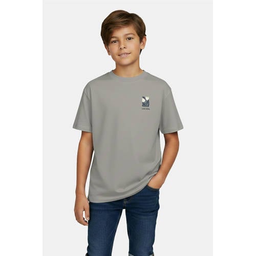 Cars T-shirt met backprint grijs Jongens Katoen Ronde hals Backprint - maat 164 afbeelding