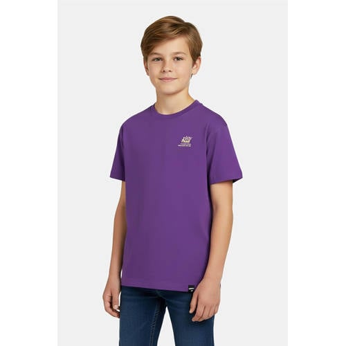 Cars T-shirt met backprint paars Jongens Katoen Ronde hals Backprint - maat 140 afbeelding