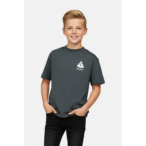 Cars T-shirt met backprint antraciet Grijs Jongens Viscose Ronde hals Backprint - maat 140 afbeelding