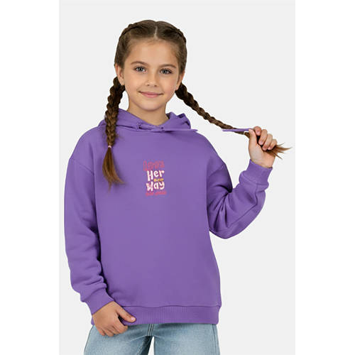 Little Cars hoodie met backprint paars Sweater Backprint - maat 104 afbeelding