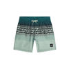 O'Neill zwemshort Logo Stripe lichtgroen/donkergroen