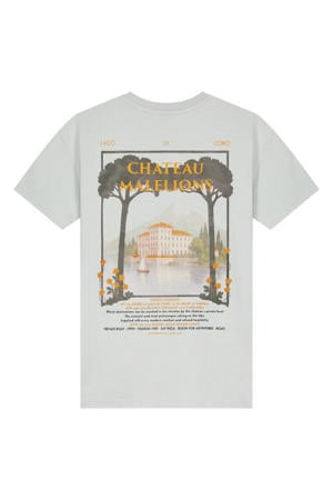 T-shirt met backprint grijsblauw