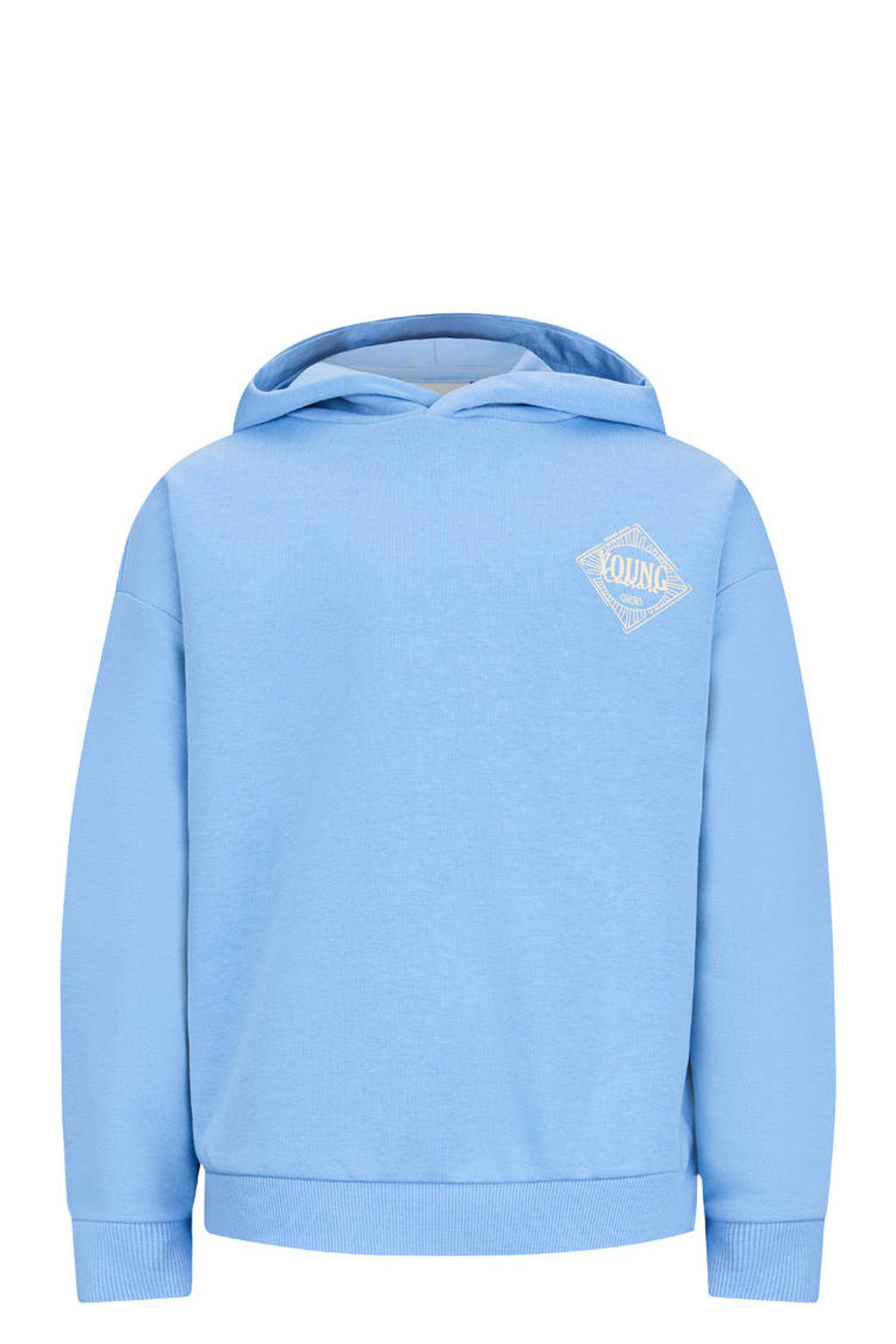 Lichtblauwe jongens Retour Jeans hoodie van sweat materiaal met backprint, lange mouwen en capuchon