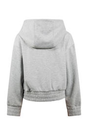 thumbnail: Shoeby hoodie grijs
