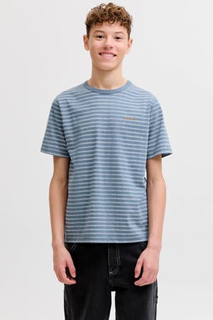 gestreepte T-shirt blauw