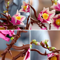 thumbnail: LEGO Botanical Collection Magnoliatakken Bloemen Set 11510
