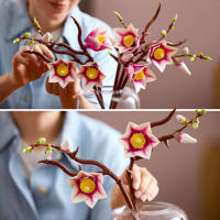 thumbnail: LEGO Botanical Collection Magnoliatakken Bloemen Set 11510