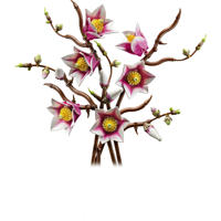 thumbnail: LEGO Botanical Collection Magnoliatakken Bloemen Set 11510