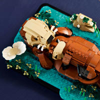 thumbnail: LEGO IDEAS Drijvende Zeeotters Bouwpakket voor Volwassenen 21366