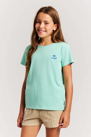 T-shirt met backprint lichtblauw
