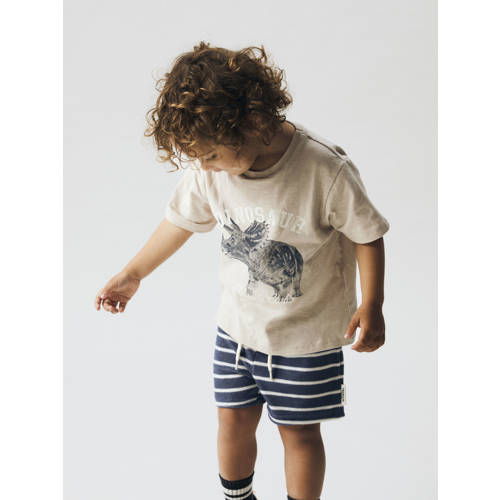 NAME IT MINI T-shirt grijs Jongens Stretchkatoen Ronde hals Printopdruk - maat 98 afbeelding