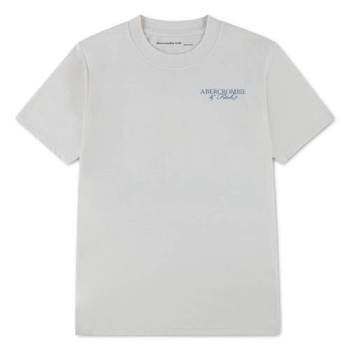 Abercrombie & Fitch jersey T-shirt met backprint lichtgrijs Jongens Katoen Ronde hals - maat 134-140 afbeelding