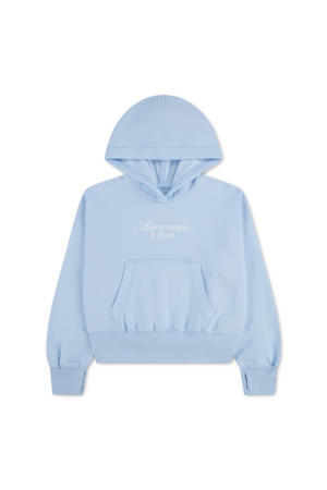 hoodie lichtblauw