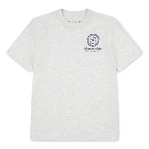 Abercrombie & Fitch jersey T-shirt met backprint lichtgrijs Jongens Katoen Ronde hals - maat 146-152 afbeelding