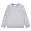 Lacoste sweater grijs