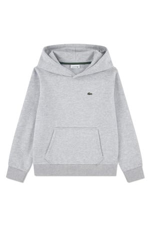 hoodie grijs