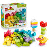LEGO DUPLO Kleurrijke creatieve doos 10479