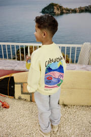 thumbnail: Z8 kids sweater Xavi met backprint lichtgeel