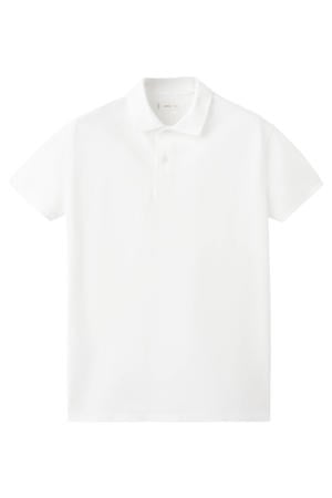 polo wit