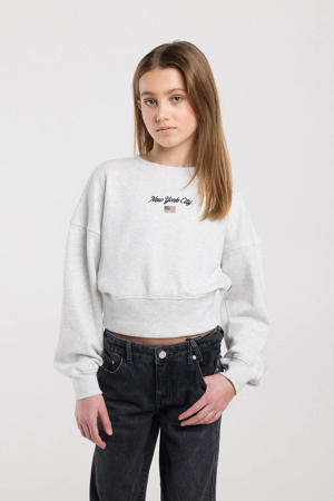 sweater grijs