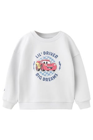 sweater lichtgrijs