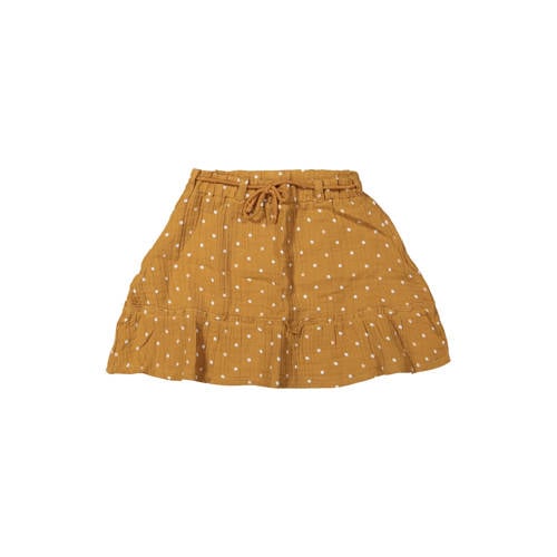 Riffle Amsterdam korte rok met stippen paars Meisjes Katoen Stip - maat 122 afbeelding