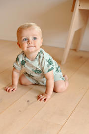 thumbnail: Feetje shortama Timmy Turtle mintgroen