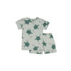 Feetje shortama Timmy Turtle mintgroen