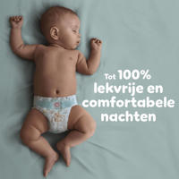 thumbnail: Pampers Baby-Dry Maat 5 voorraadbox 216 luiers