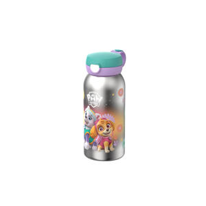Campus RVS waterfles (flip-up) (600 ml)