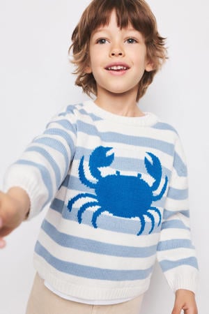 gestreepte gebreide trui blauw