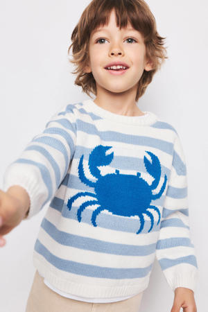 gestreepte gebreide trui blauw