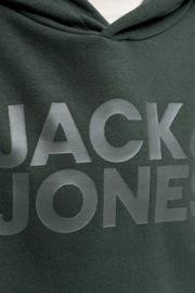 thumbnail: JACK & JONES JUNIOR hoodie met logo donkergroen