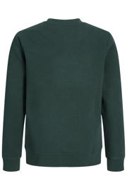 thumbnail: JACK & JONES JUNIOR sweater met tekst - donkergroen