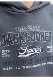 thumbnail: JACK & JONES JUNIOR hoodie met logo - grijsblauw