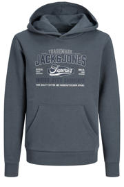 thumbnail: JACK & JONES JUNIOR hoodie met logo - grijsblauw