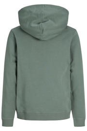thumbnail: JACK & JONES JUNIOR hoodie groen