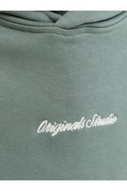 thumbnail: JACK & JONES JUNIOR hoodie groen