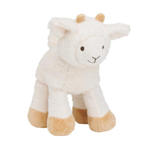Churro Sheep no. 2